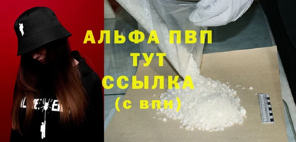 молекула духа Арсеньев