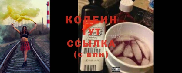 молекула духа Арсеньев