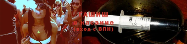 молекула духа Арсеньев
