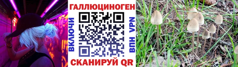 МЕГА зеркало  Североуральск  Псилоцибиновые грибы GOLDEN TEACHER  купить  